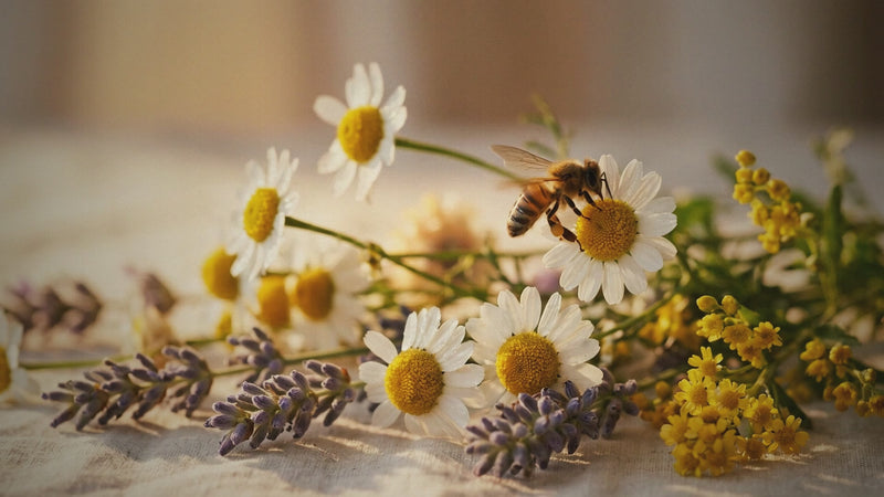 Pure raw honey